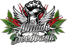 Attitude Seeds Logo