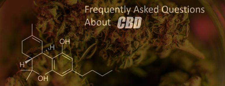 CBD FAQ