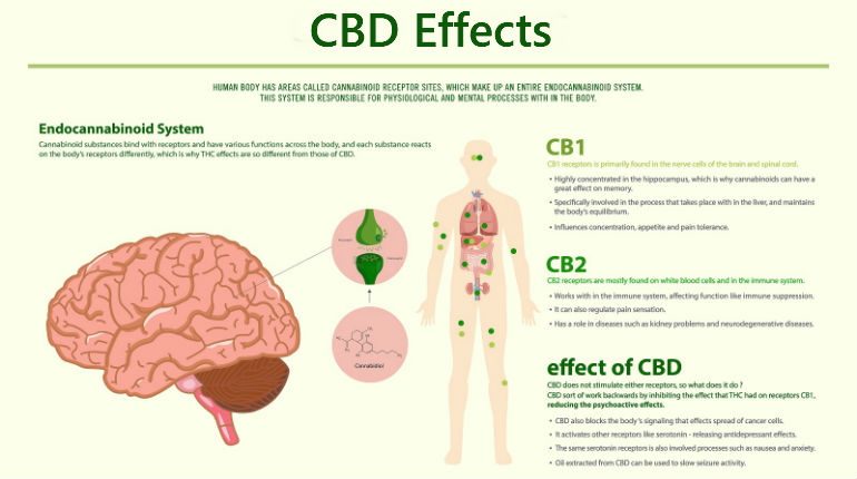 CBD Effects