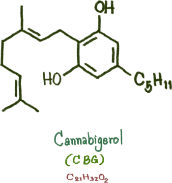 CBG Cannabigerol Molecule