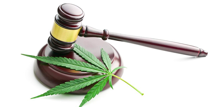 Los Angeles Marijuana Lawyers