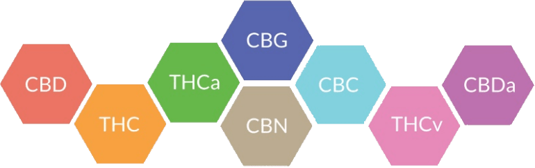 What Are Cannabinoids?