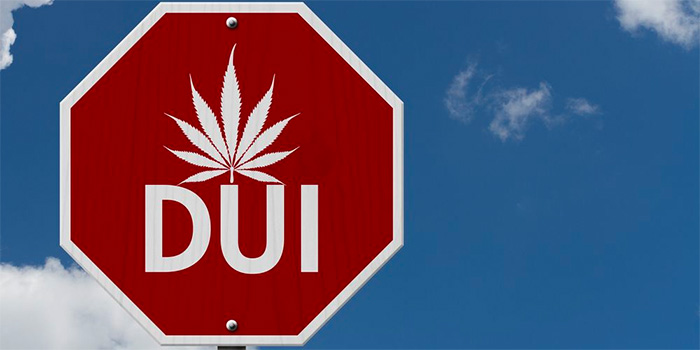 Cannabis Lawyers DUI