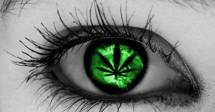 Weed And Glaucoma