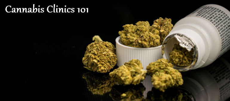 Cannabis Clinics 101