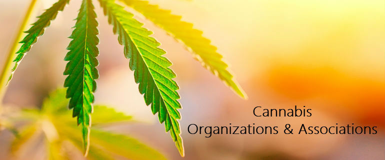 Cannabis Organizations and Associations