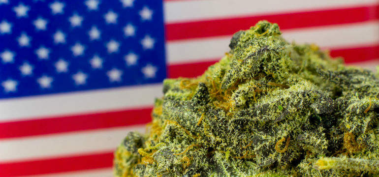 Cannabis in the United States