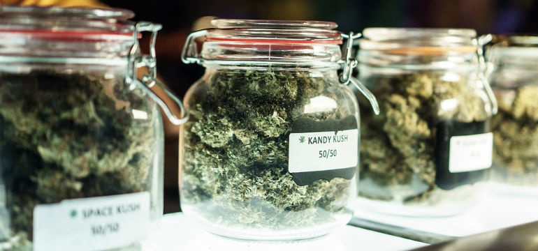 Cannabis Tourism Dispensary Jars