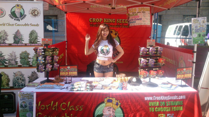 Crop King Seeds Stand