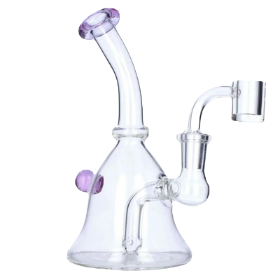 Glass Mini Beaker Dab Rig