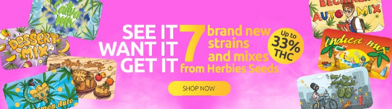 Buy the most potent cannabis seeds in the world at Herbies Seeds Herbies Seeds