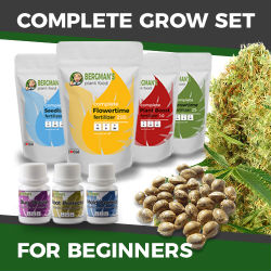 ILGM Beginners Marijuana Grow Kit