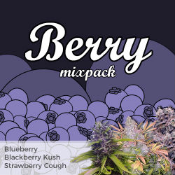 ILGM Berry Mix Seed Pack