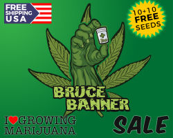 ILGM Bruce Banner Promotion