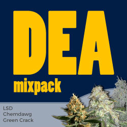 ILGM DEA Mix Seed Pack