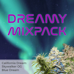 ILGM Dreamy Mix Seed Pack