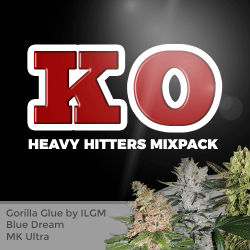 ILGM Heavy Hitters Mix Seed Pack