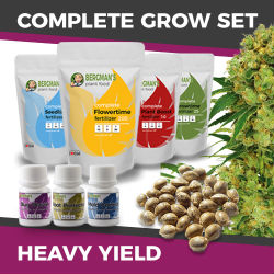 ILGM High Yield Marijuana Grow Kit