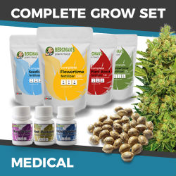 ILGM Medical Marijuana Grow Kit