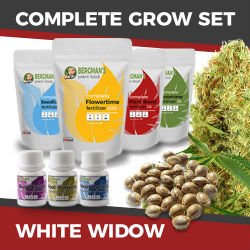 ILGM White Widow Marijuana Grow Kit