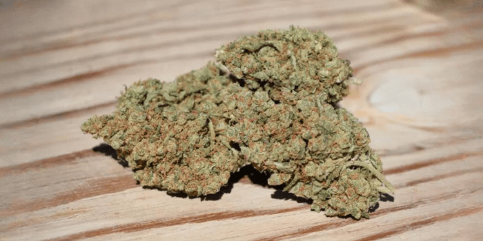 Jack Herer Medical Benefits