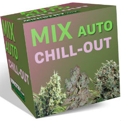 Ministry of Cannabis Chill Out Mix Pack