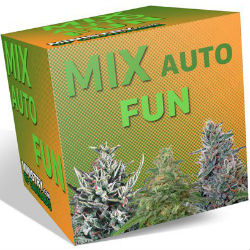 Ministry of Cannabis Fun Mix Pack