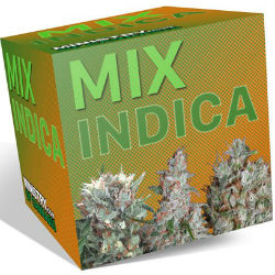 Ministry of Cannabis Indica Mix Pack