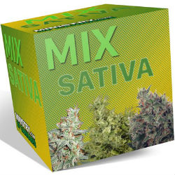 Ministry of Cannabis Sativa Mix Pack