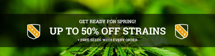 MSNL Marijuana Seed Bank