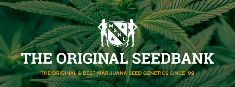 MSNL Seed Bank NL Seeds