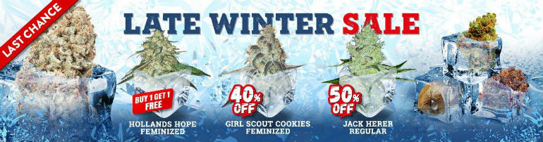 MSNL Seed Bank Winter Sale