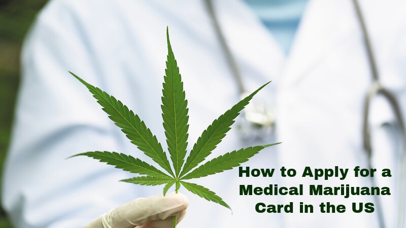 Doctor holding cannabis leaf