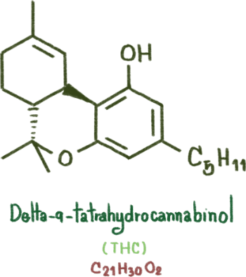 THC Tetrahydrocannabinol Molecule