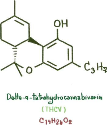 THCV Tetrahydrocannabivarin Molecule