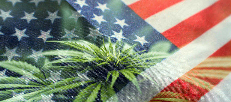 United States Flag Cannabis