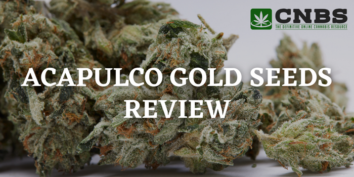 acapulco gold seeds review