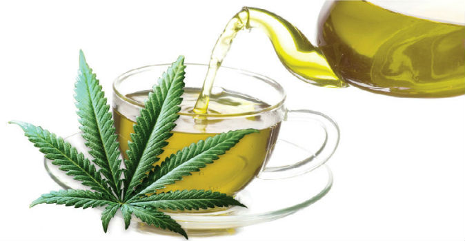 Marijuana Tea Benefits