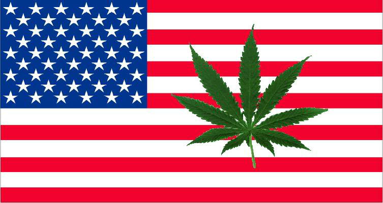 Cannabis USA