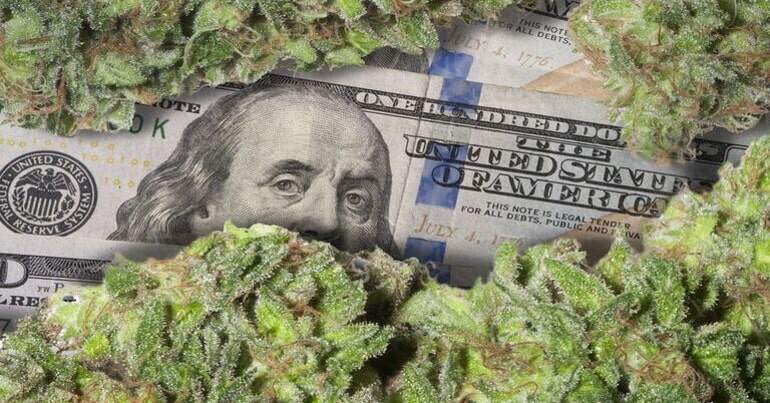 Cannabis buds with 100 dollar bill