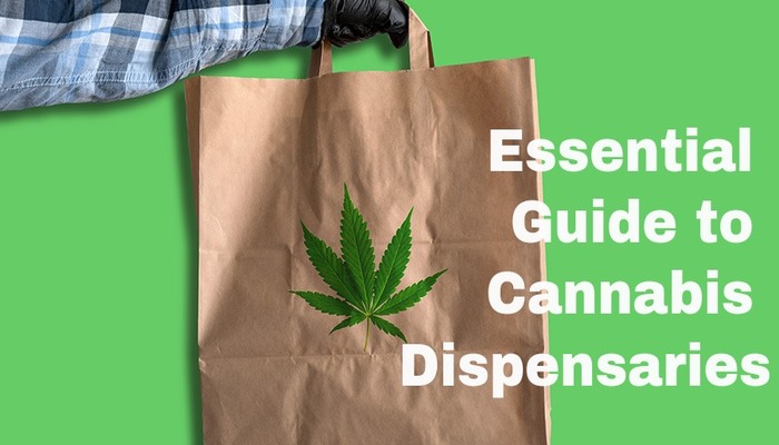 Cannabis Dispensary Guide