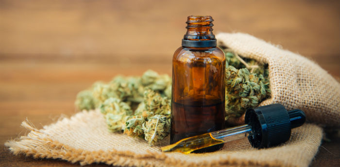 Cannabis CBD Oil