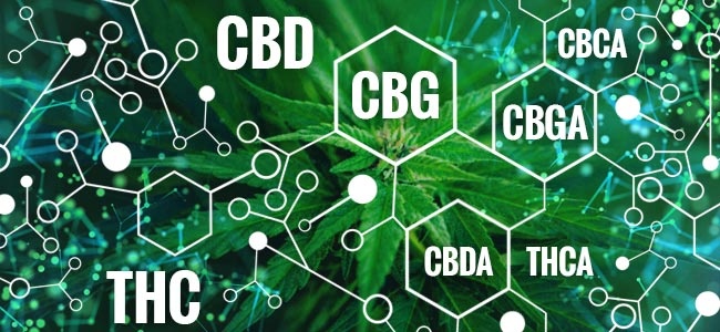 CBG Cannabinoids