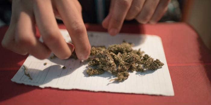 Marijuana Testing Weed Buds