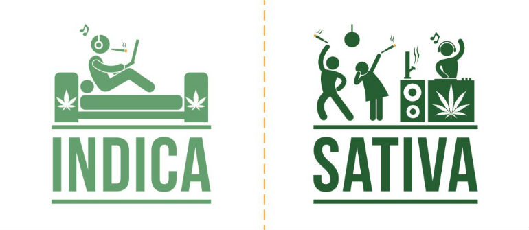 Sativa high effects