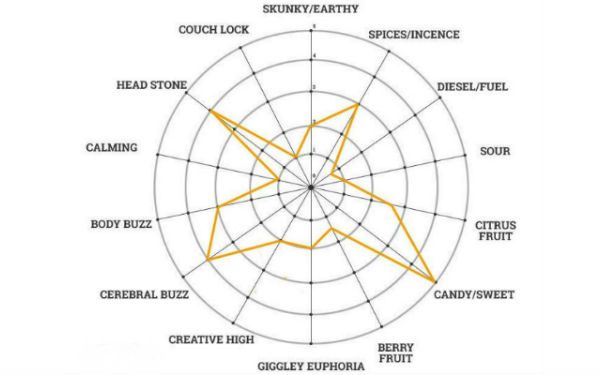 MSNL NL Seeds Girl Scout Cookies Chart