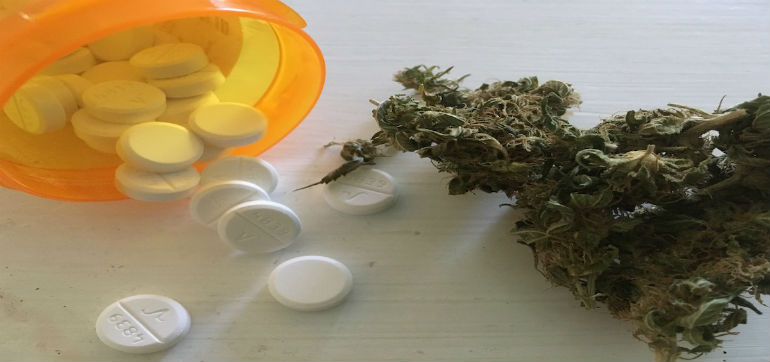Pills vs Cannabis
