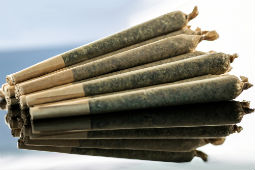 Joints Rolling Papers