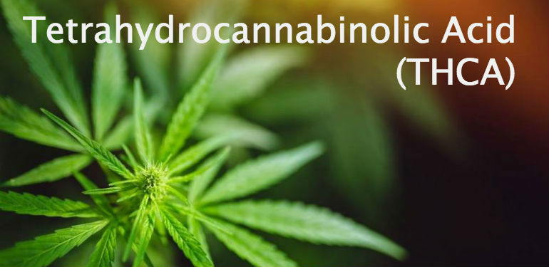 Tetrahydrocannabinolic Acid THCA