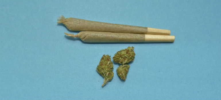 Marijuana Facts About Joints and Buds